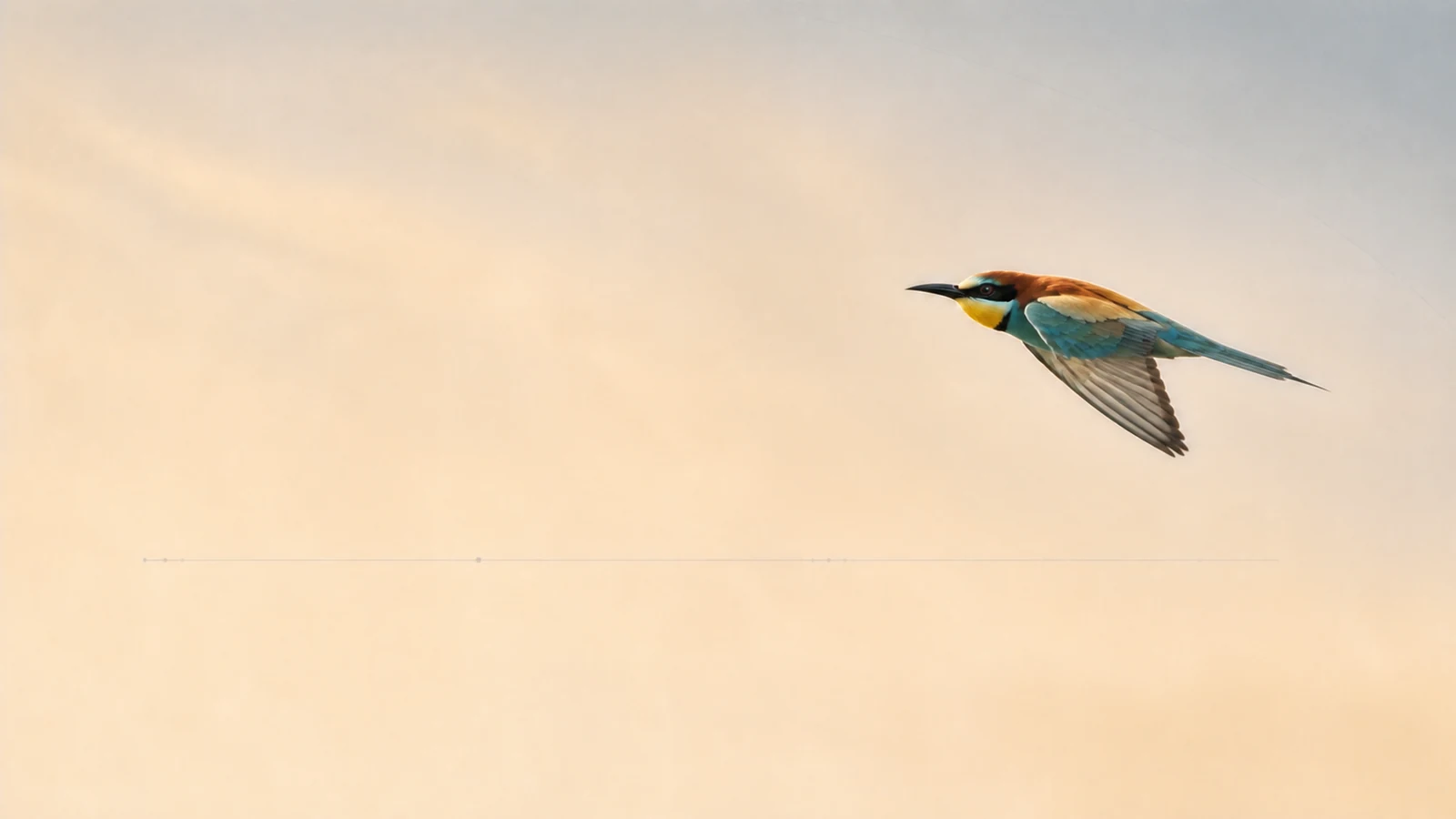 AI-generated image of a single European bee-eater in natural flight, symbolizing an individual professional journey across places and time
